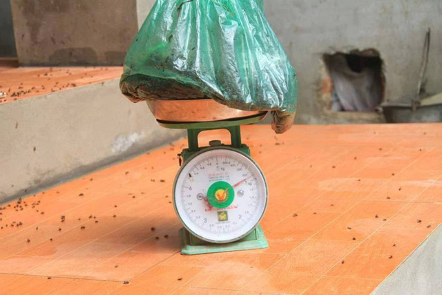 Cuộc sống cạnh bãi rác lớn nhất Hà Nội: Trong xóm có đám cưới chỉ đến uống chén rượu, không dám ăn - Ảnh 6. Cuộc sống cạnh bãi rác lớn nhất Hà Nội: Trong xóm có đám cưới chỉ đến uống chén rượu, không dám ăn - Ảnh 6.