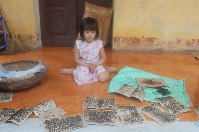 Cuộc sống cạnh bãi rác lớn nhất Hà Nội: Trong xóm có đám cưới chỉ đến uống chén rượu, không dám ăn - Ảnh 7. Cuộc sống cạnh bãi rác lớn nhất Hà Nội: Trong xóm có đám cưới chỉ đến uống chén rượu, không dám ăn - Ảnh 7.